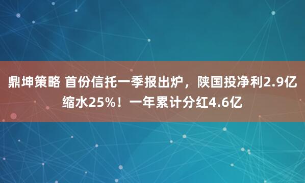 鼎坤策略 首份信托一季报出炉，陕国投净利2.9亿缩水25%！一年累计分红4.6亿