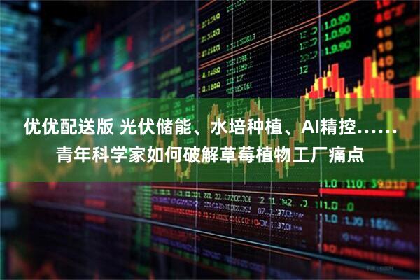 优优配送版 光伏储能、水培种植、AI精控……青年科学家如何破解草莓植物工厂痛点
