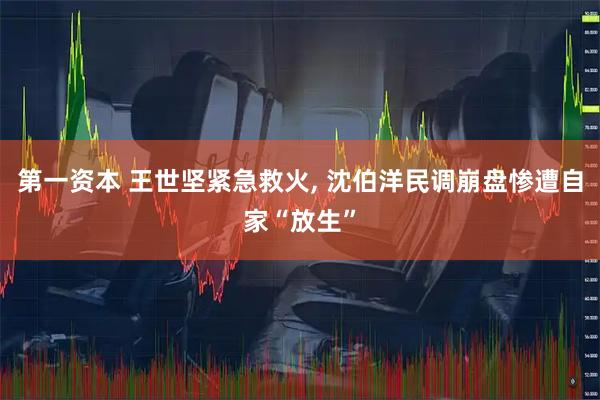 第一资本 王世坚紧急救火, 沈伯洋民调崩盘惨遭自家“放生”